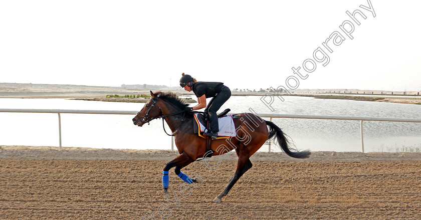 Bangkok-0003 
 BANGKOK training for the Bahrain International Trophy
Rashid Equestrian & Horseracing Club, Bahrain, 18 Nov 2020