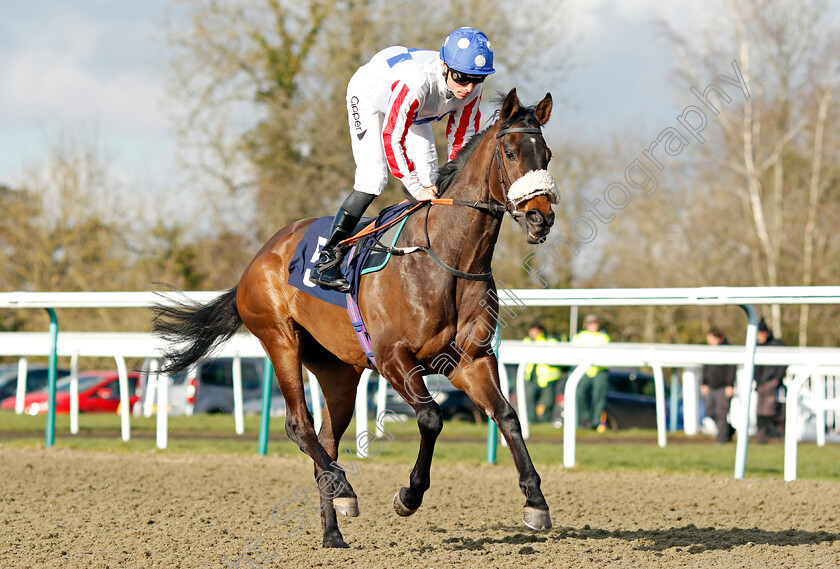 Eloso 
 ELOSO (Kieran Shoemark)
Lingfield 9 Mar 2022 - Pic Steven Cargill / Racingfotos.com