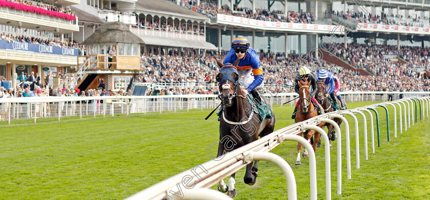 The-Grand-Visir-0002 
 THE GRAND VISIR (Richard Kingscote)
York 20 Aug 2021 - Pic Steven Cargill / Racingfotos.com