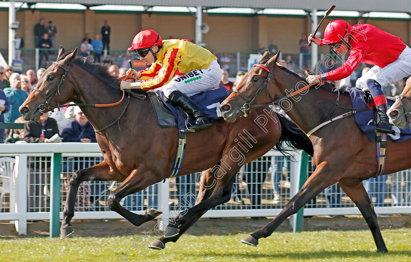 Tiger-Crusade-0006 
 TIGER CRUSADE (Jamie Spencer) beats ONE NIGHT STAND (right) in The British Stallion Studs EBF Novice Stakes
Yarmouth 17 Sep 2019 - Pic Steven Cargill / Racingfotos.com