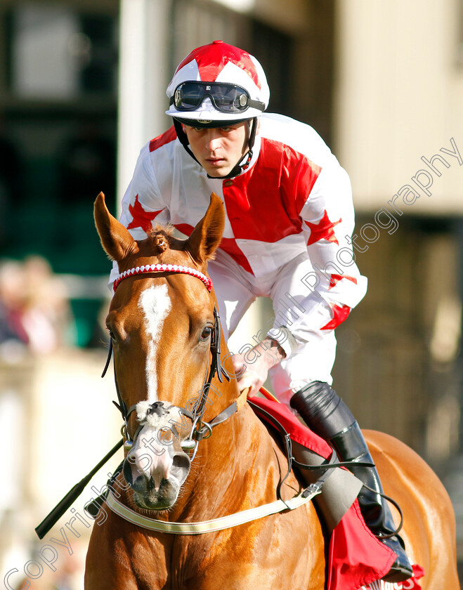 Holloway-Boy-0001 
 HOLLOWAY BOY (Clifford Lee)
Newmarket 8 Oct 2022 - Pic Steven Cargill / Racingfotos.com