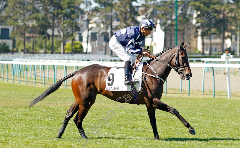 Can-To-Can-0001 
 CAN TO CAN (I Mendizabal)
Deauville 6 Aug 2022 - Pic Steven Cargill / Racingfotos.com