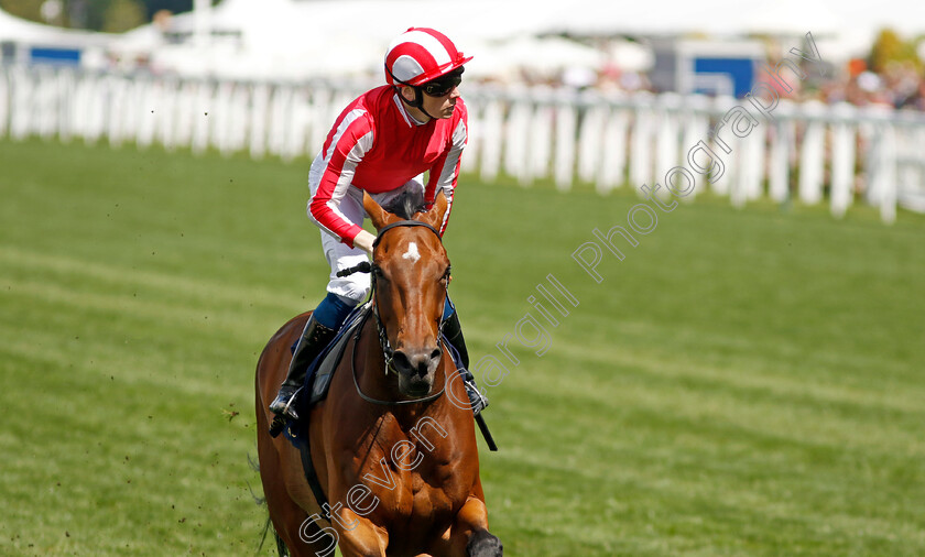 Isle-Of-Jura-0003 
 ISLE OF JURA (Callum Shepherd) wins The Hardwicke Stakes
Royal Ascot 22 Jun 2024 - Pic Steven Cargill / Racingfotos.com