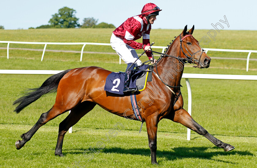 Season-In-The-Sun 
 SEASON IN THE SUN (Liam Keniry)
Chepstow 27 May 2022 - Pic Steven Cargill / Racingfotos.com