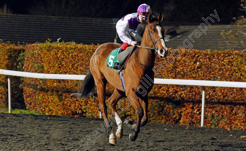 Morlaix-0001 
 MORLAIX (Poppy Bridgwater)
Kempton 20 Nov 2019 - Pic Steven Cargill / Racingfotos.com