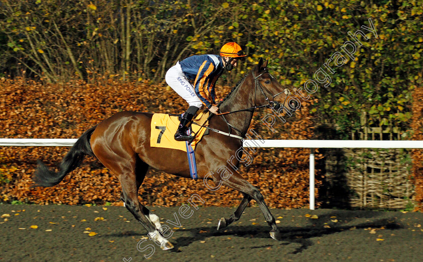 Perfect-Sunset-0001 
 PERFECT SUNSET (William Carver)
Kempton 25 Nov 2020 - Pic Steven Cargill / Racingfotos.com