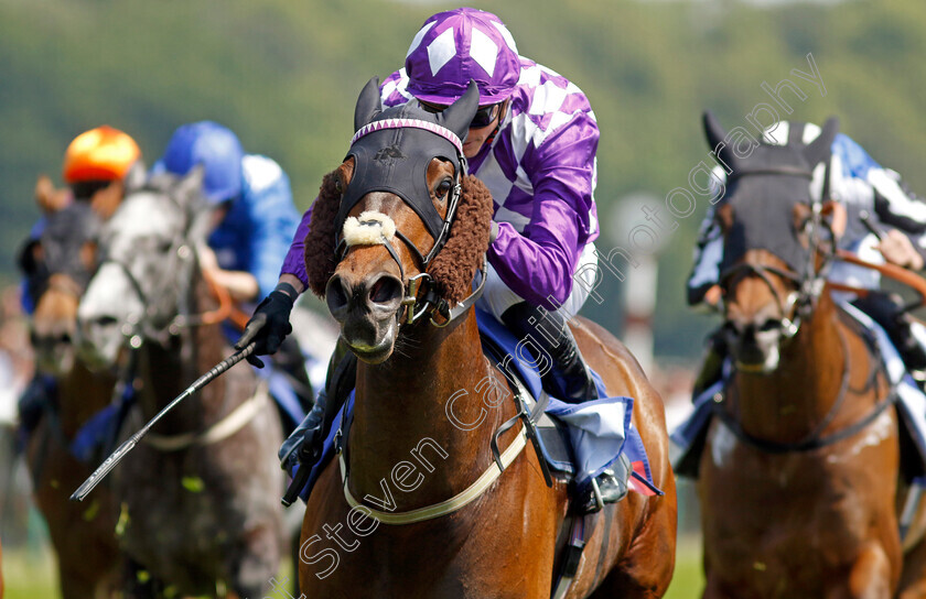 Raatea-0002 
 RAATEA (James Doyle) wins The Sky Bet Reverence Handicap
Haydock 10 Jun 2023 - Pic Steven Cargill / Racingfotos.com