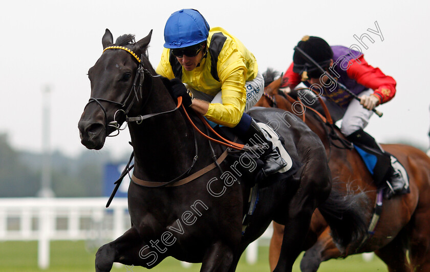 Twaasol-0004 
 TWAASOL (Jim Crowley) wins The Dash Charity Classified Stakes
Ascot 3 Sep 2021 - Pic Steven Cargill / Racingfotos.com