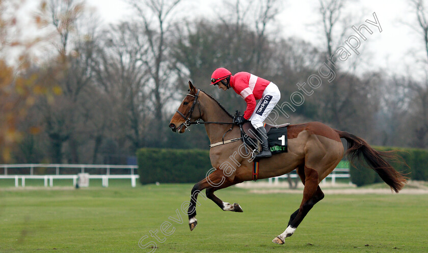 Laurina-0004 
 LAURINA (Ruby Walsh) winner of The Unibet Mares Hurdle
Sandown 5 Jan 2019 - Pic Steven Cargill / Racingfotos.com