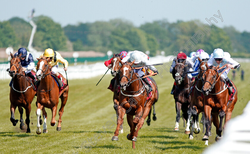 Communique-0003 
 COMMUNIQUE (centre, Silvestre De Sousa) beats POET'S PRINCE (right) in The Al Zubarah London Gold Cup Newbury 19 May 2018 - Pic Steven Cargill / Racingfotos.com