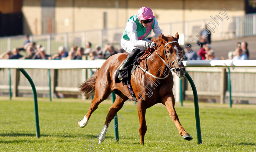 Boltaway-0003 
 BOLTAWAY (James Doyle) wins The Discover Newmarket Handicap
Newmarket 23 Sep 2021 - Pic Steven Cargill / Racingfotos.com