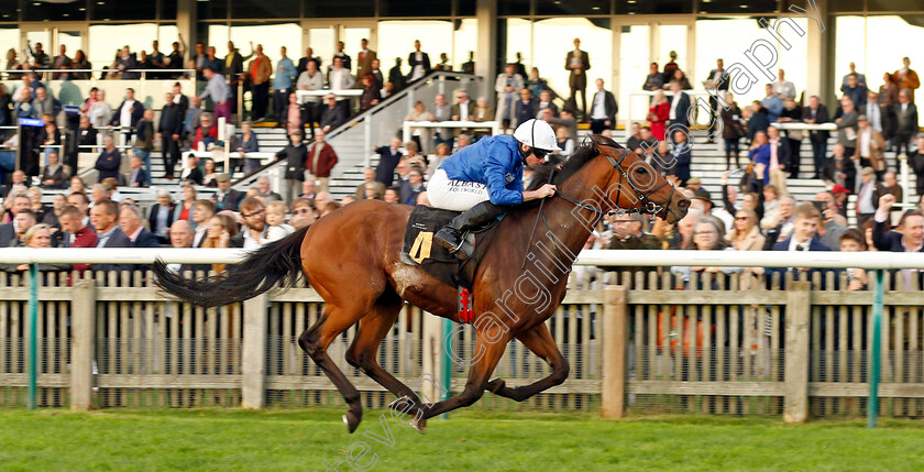 Ottoman-Fleet-0005 
 OTTOMAN FLEET (Ryan Moore) wins The National Stud Welcomes Stradivarius James Seymour Stakes
Newmarket 29 Oct 2022 - Pic Steven Cargill / Racingfotos.com