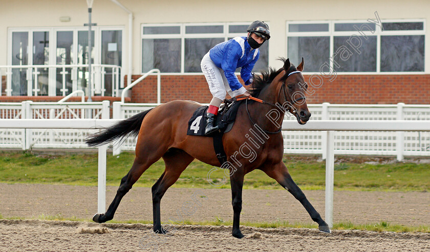 Moraaheq-0001 
 MORAAHEQ (Andrea Atzeni)
Chelmsford 1 Apr 2021 - Pic Steven Cargill / Racingfotos.com