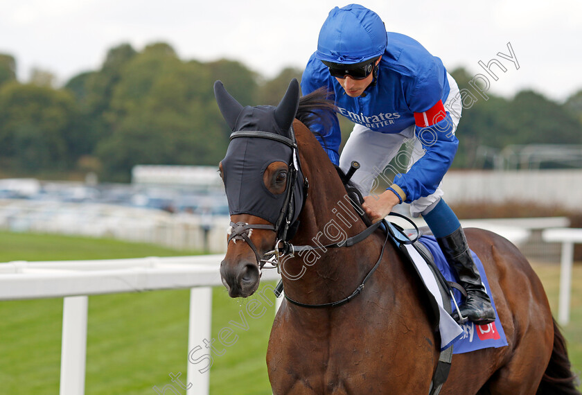 Al-Suhail 
 AL SUHAIL (William Buick)
York 20 Aug 2022 - Pic Steven Cargill / Racingfotos.com