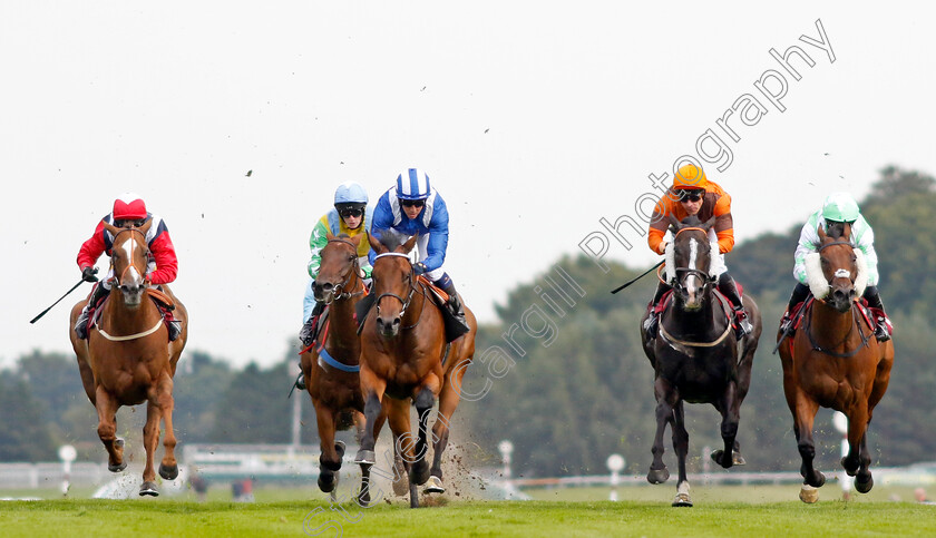 Khanjar-0006 
 KHANJAR (centre, Jim Crowley) beats ABOLISH (right) GHATHANFAR (2nd right) and VENTURA EXPRESS (left) in The The Tin Man Handicap
Haydock 2 Sep 2022 - Pic Steven Cargill / Racingfotos.com