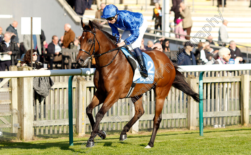 Noble-Dynasty-0001 
 NOBLE DYNASTY (William Buick)
Newmarket 11 Oct 2024 - Pic Steven Cargill / Racingfotos.com