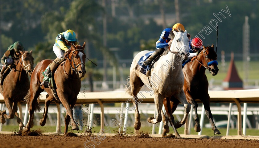 White-Abarrio-0008 
 WHITE ABARRIO (Irad Ortiz) wins The Breeders' Cup Classic
Santa Anita 4 Nov 2023 - pic Steven Cargill / Racingfotos.com