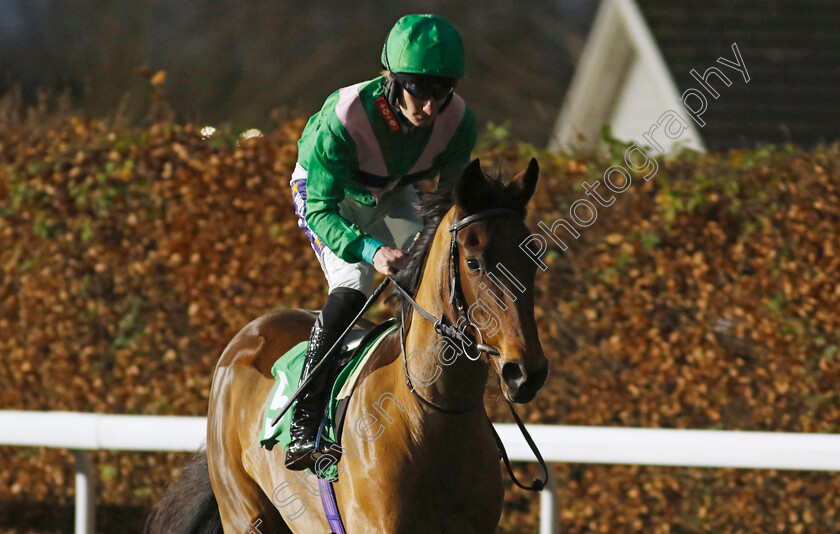 Nanny-Park-0004 
 NANNY PARK (Daniel Muscutt) winner of The Racing TV Fillies Restricted Novice Stakes
Kempton 11 Dec 2024 - Pic Steven Cargill / Racingfotos.com