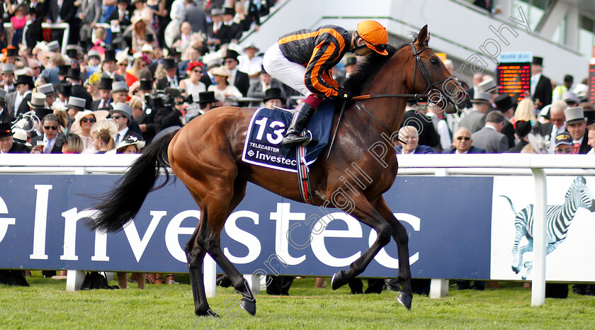 Telecaster-0001 
 TELECASTER (Oisin Murphy)
Epsom 1 Jun 2019 - Pic Steven Cargill / Racingfotos.com