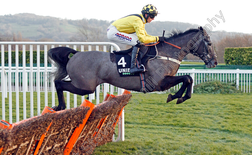 Elixir-De-Nutz-0001 
 ELIXIR DE NUTZ (Harry Cobden)
Cheltenham 14 Dec 2019 - Pic Steven Cargill / Racingfotos.com