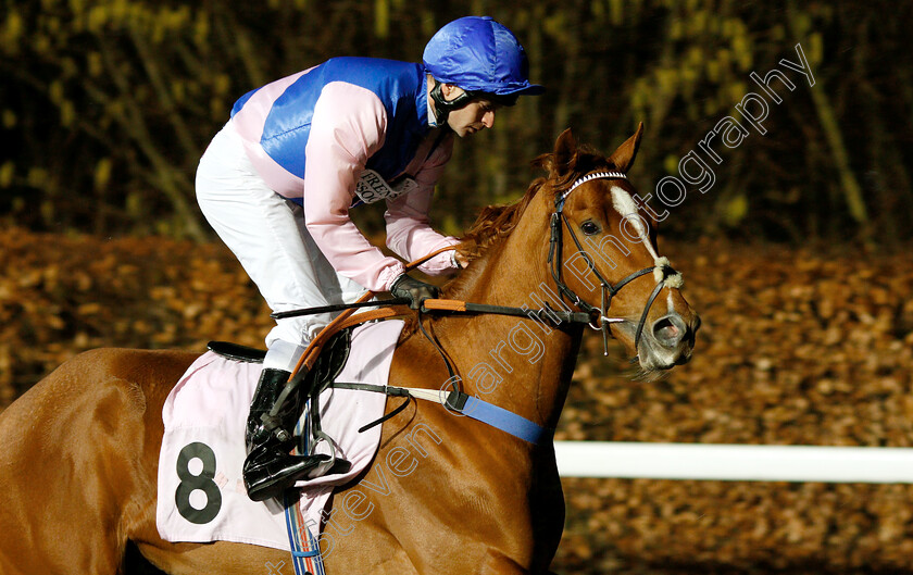 Poet-Pete-0001 
 POET PETE (Fergus Sweeney)
Kempton 16 Jan 2019 - Pic Steven Cargill / Racingfotos.com