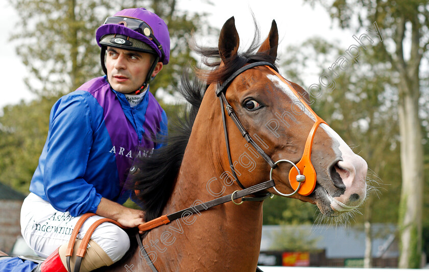 Palavecino-0001 
 PALAVECINO (Andrea Atzeni)
Salisbury 12 Aug 2021 - Pic Steven Cargill / Racingfotos.com