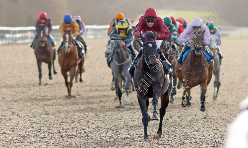 Disco-Fever-0005 
 DISCO FEVER (Robert Havlin) wins The Ladbrokes EBF Fillies Novice Stakes
Lingfield 18 Dec 2019 - Pic Steven Cargill / Racingfotos.com