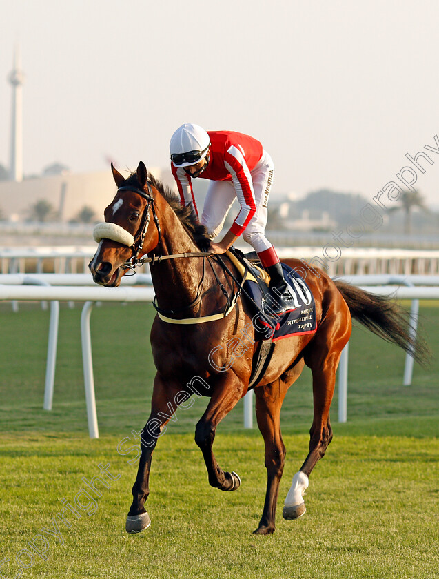 Simsir-0001 
 SIMSIR (Lee Newman) before winning The Bahrain International Trophy
Rashid Equestrian & Horseracing Club, Bahrain, 20 Nov 2020 - Pic Steven Cargill / Racingfotos.com