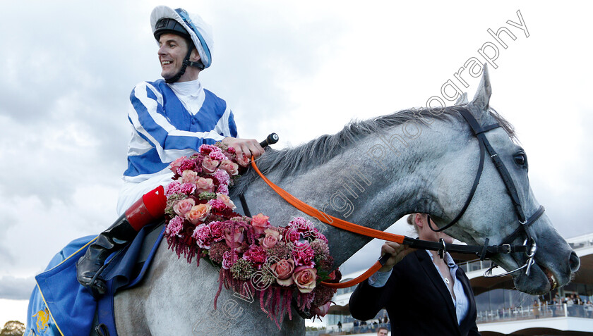 Thundering-Blue-0016 
 THUNDERING BLUE (Fran Berry) after The Stockholm Cup International
Bro Park, Sweden 23 Sep 2018 - Pic Steven Cargill / Racingfotos.com