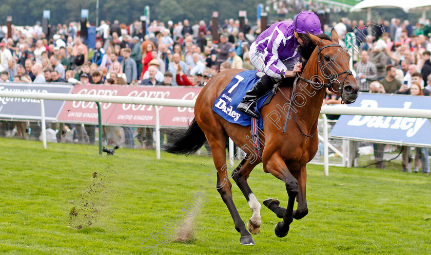 Snowfall-0006 
 SNOWFALL (Ryan Moore) wins The Darley Yorkshire Oaks
York 19 Aug 2021 - Pic Steven Cargill / Racingfotos.com