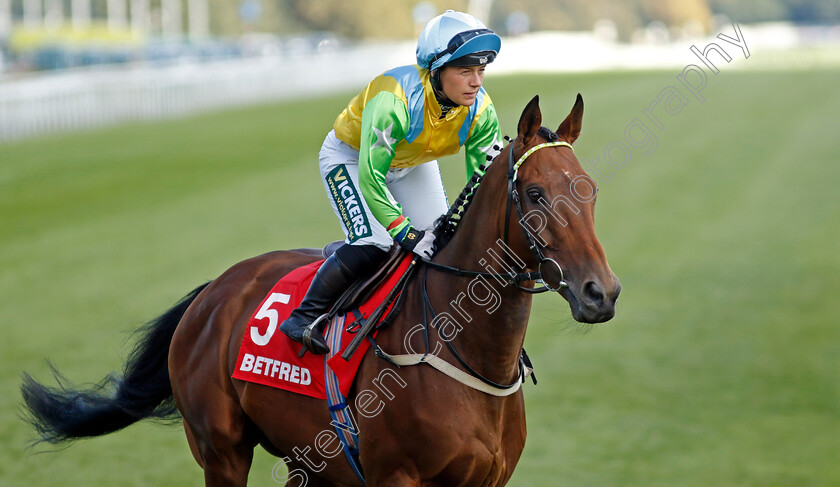 Faylaq-0007 
 FAYLAQ (Amie Waugh) winner of The Betfred Mallard Handicap
Doncaster 13 Sep 2024 - Pic Steven Cargill / Racingfotos.com