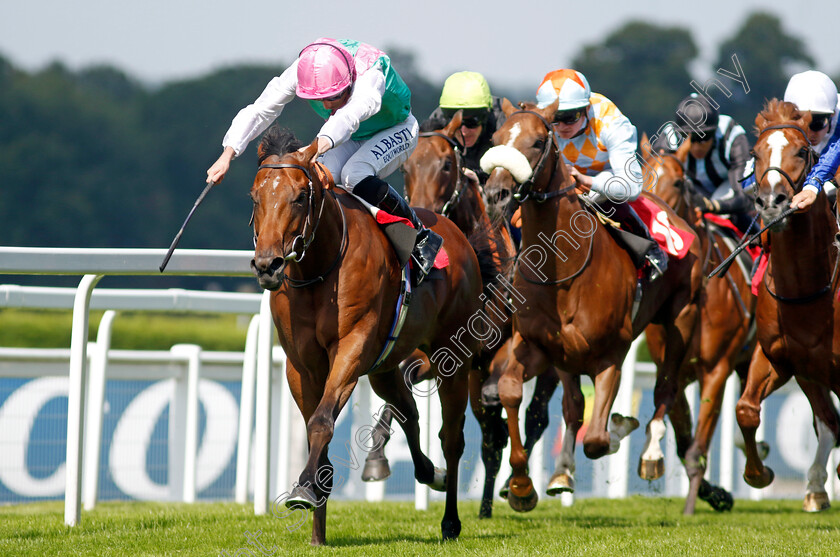 Starlore-0004 
 STARLORE (Ryan Moore) wins The Irish Stallion Farms EBF Novice Stakes
Sandown 7 Jul 2023 - Pic Steven Cargill / Racingfotos.com