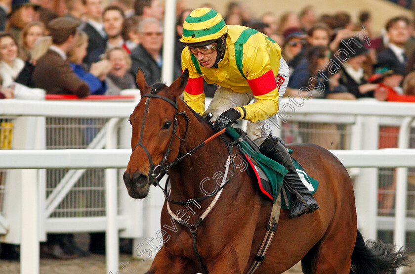 Herecomestheboom-0008 
 HERECOMESTHEBOOM (Paddy Brennan) wins The Jockey Club Venues Standard Open National Hunt Flat Race Cheltenham 28 Oct 2017 - Pic Steven Cargill / Racingfotos.com