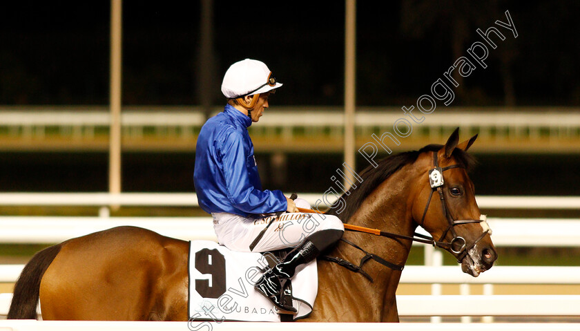 Dowayla-0001 
 DOWAYLA (Christophe Soumillon) Meydan 18 Jan 2018 - Pic Steven Cargill / Racingfotos.com