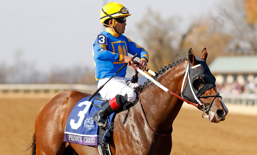 Private-Creed-0001 
 PRIVATE CREED (Joel Rosario)
Keeneland USA, 4 Nov 2022 - Pic Steven Cargill / Racingfotos.com