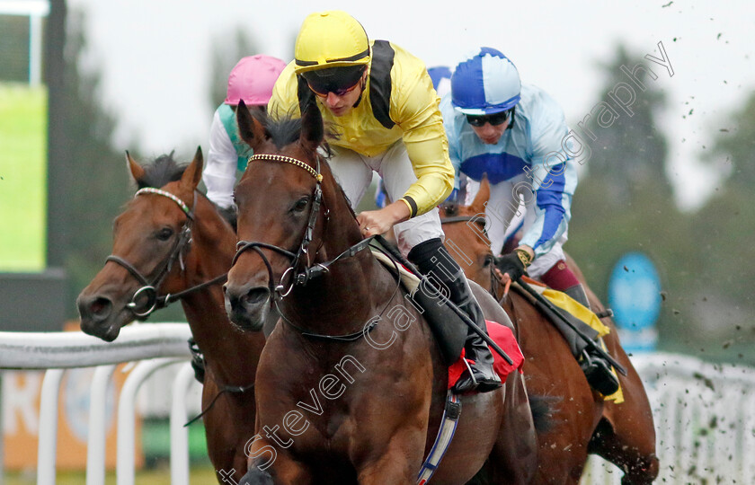 Yaroogh-0002 
 YAROOGH (Tom Marquand) wins The Unibet British Stallion Studs EBF Novice Stakes
Kempton 7 Aug 2024 - Pic Steven Cargill / Racingfotos.com