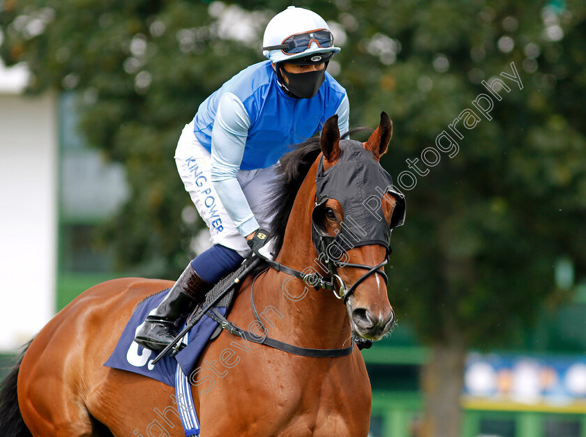 Sacre-Bleu-0001 
 SACRE BLEU (Silvestre De Sousa)
Yamouth 15 Jul 2020 - Pic Steven Cargill / Racingfotos.com