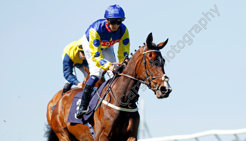 Desert-William 
 DESERT WILLIAM (Alistair Rawlinson)
Chepstow 27 May 2022 - Pic Steven Cargill / Racingfotos.com