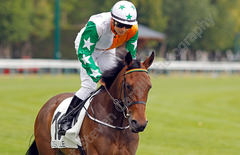 Shamrock-Breeze-0001 
 SHAMROCK BREEZE (Ronan Whelan)
Deauville 3 Aug 2024 - Pic Steven Cargill / Racingfotos.com