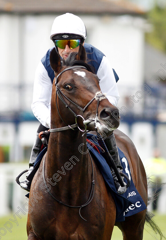 Cap-Francais-0001 
 CAP FRANCAIS (Gerald Mosse)
Epsom 24 Apr 2019 - Pic Steven Cargill / Racingfotos.com