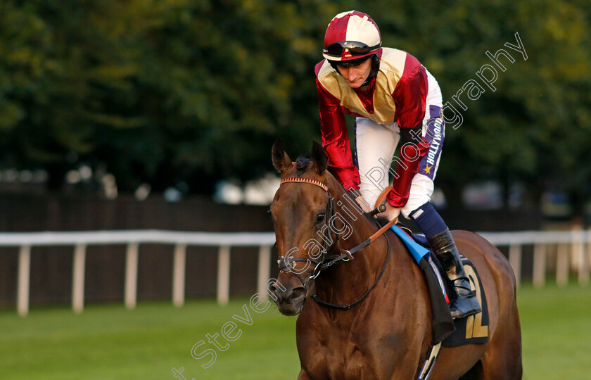 Bint-Al-Daar-0006 
 BINT AL DAAR (Daniel Muscutt) winner of The Every Race Live On Racing TV Handicap
Newmarket 4 Aug 2023 - Pic Steven Cargill / Racingfotos.com