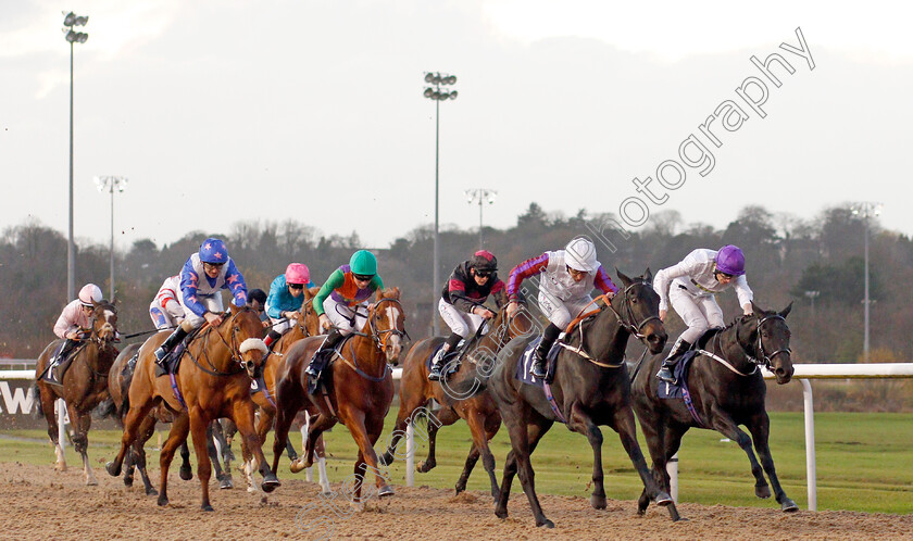 Dark-Regard-0002 
 DARK REGARD (2nd right, P J McDonald) beats MOON OF LOVE (right) in The Ladbrokes Nursery
Wolverhampton 26 Nov 2019 - Pic Steven Cargill / Racingfotos.com