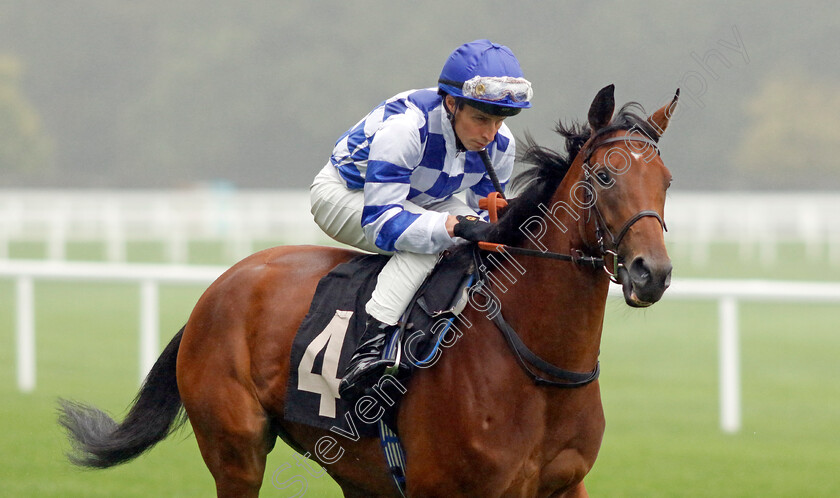 Eternal-Blessing-0001 
 ETERNAL BLESSING (William Buick)
Ascot 6 Sep 2024 - Pic Steven Cargill / Racingfotos.com