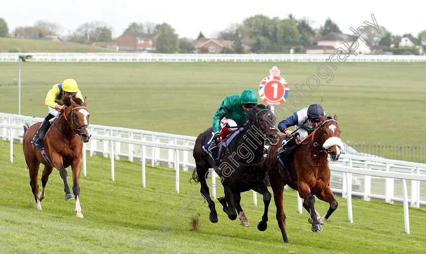 Le-Don-De-Vie-0002 
 LE DON DE VIE (right, Oisin Murphy) beats CASANOVA (centre) and CURRENT OPTION (left) in The Investec Wealth Novice Stakes
Epsom 24 Apr 2019 - Pic Steven Cargill / Racingfotos.com