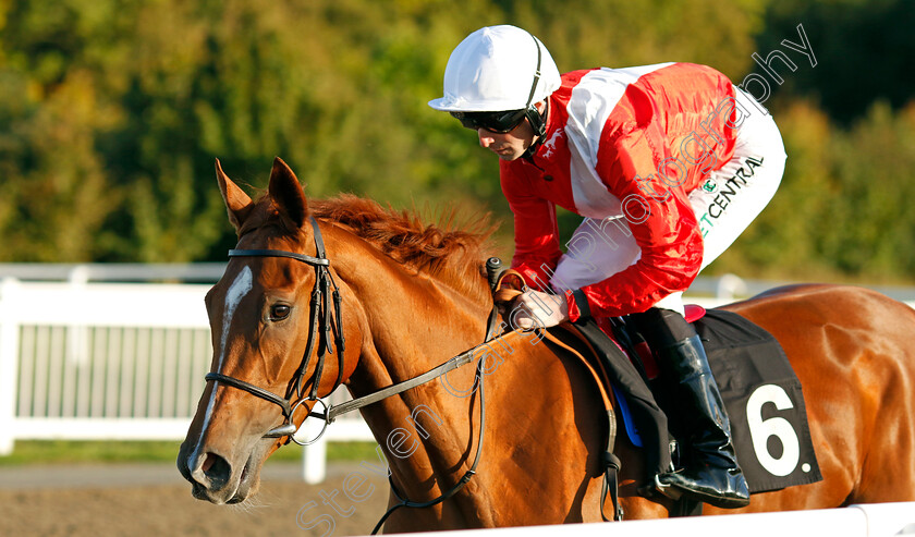 Protest-0006 
 PROTEST (Jack Mitchell) winner of The Juddmonte EBF Fillies Restricted Novice Stakes
Chelmsford 3 Oct 2024 - Pic Steven Cargill / Racingfotos.com