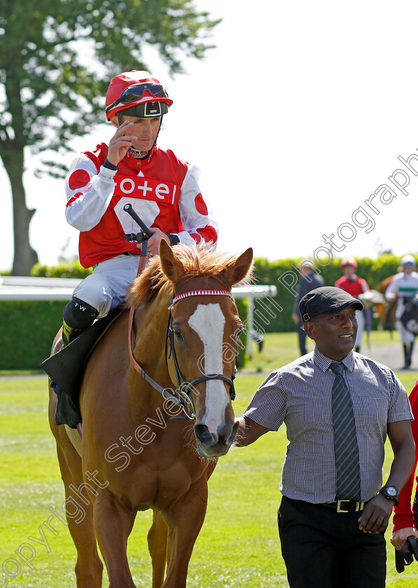 Araminta-0005 
 ARAMINTA (Trevor Whelan) winner of The William Hill Height Of Fashion Stakes
Goodwood 26 May 2023 - Pic Steven Cargill / Racingfotos.com