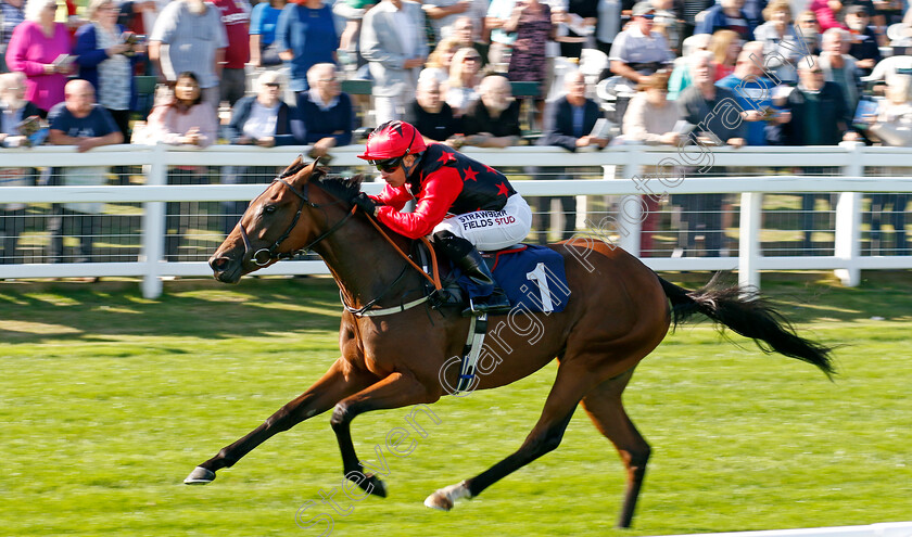 Naina-0002 
 NAINA (Silvestre de Sousa) wins The Download The Raceday Ready App Nursery
Yarmouth 17 Sep 2024 - Pic Steven Cargill / Racingfotos.com