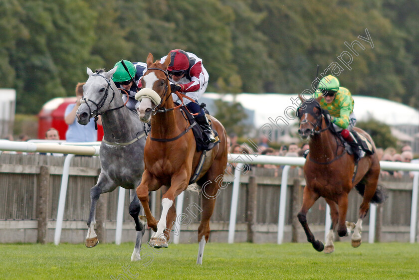 Squeezebox-0004 
 SQUEEZEBOX (Frederick Larson) beats GORDON GREY (left) in The Join Racing TV Now Handicap
Newmarket 28 Jul 2023 - Pic Steven Cargill / Racingfotos.com