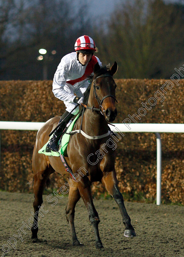 Solar-Heights-0001 
 SOLAR HEIGHTS (Luke Morris)
Kempton 5 Jan 2019 - Pic Steven Cargill / Racingfotos.com