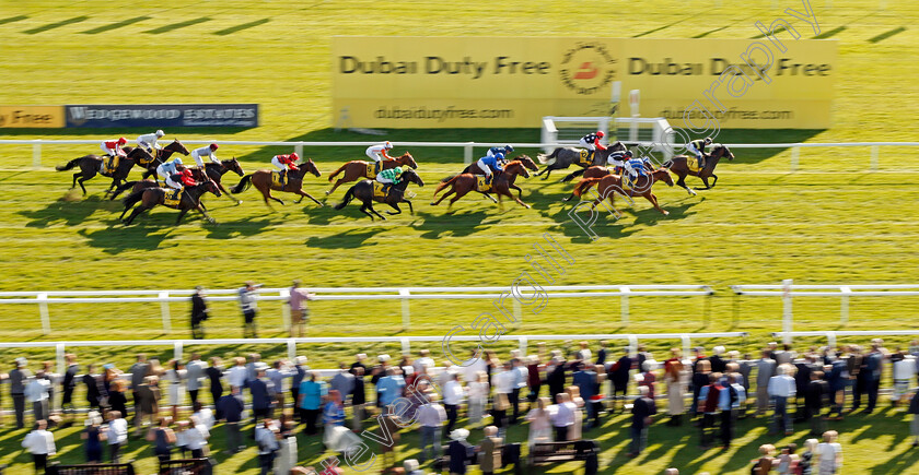 Brorocco-0006 
 BROROCCO (David Probert) wins The Dubai Duty Free Handicap Newbury 23 Sep 2017 - Pic Steven Cargill / Racingfotos.com